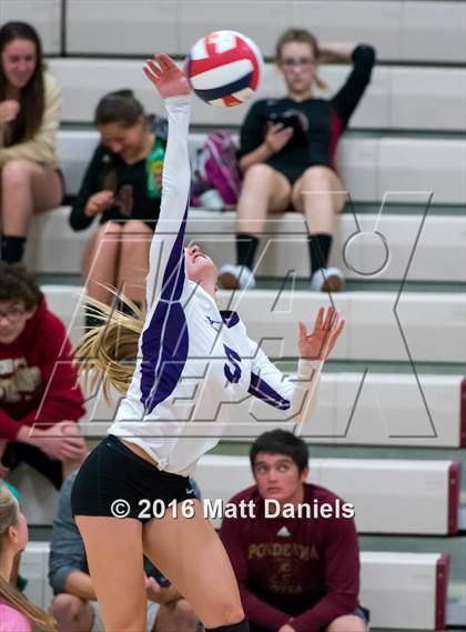 Thumbnail 1 in Douglas County @ Ponderosa photogallery.
