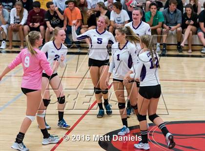 Thumbnail 1 in Douglas County @ Ponderosa photogallery.