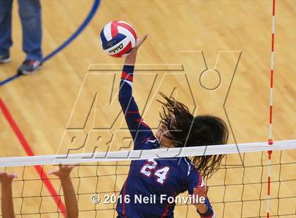 Thumbnail 1 in Wylie @ Allen photogallery.