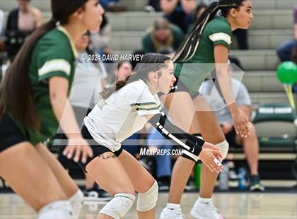 Thumbnail 1 in Denver North vs Bear Creek photogallery.