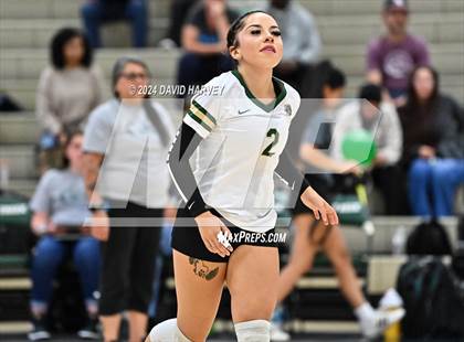 Thumbnail 1 in Denver North vs Bear Creek photogallery.
