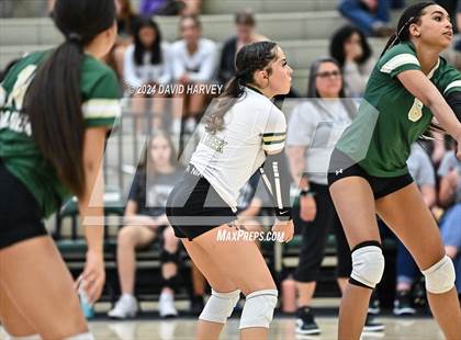 Thumbnail 3 in Denver North vs Bear Creek photogallery.