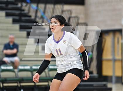 Thumbnail 1 in Denver North vs Bear Creek photogallery.