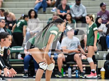 Thumbnail 2 in Denver North vs Bear Creek photogallery.