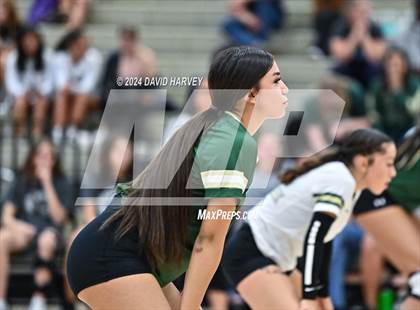 Thumbnail 1 in Denver North vs Bear Creek photogallery.