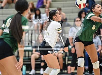 Thumbnail 1 in Denver North vs Bear Creek photogallery.