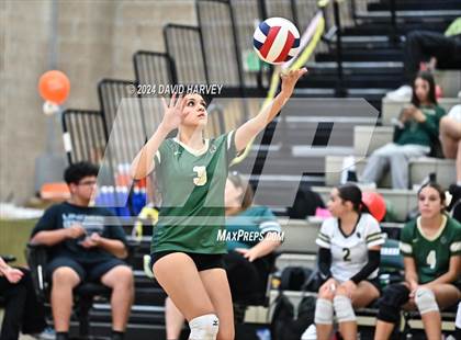 Thumbnail 2 in Denver North vs Bear Creek photogallery.