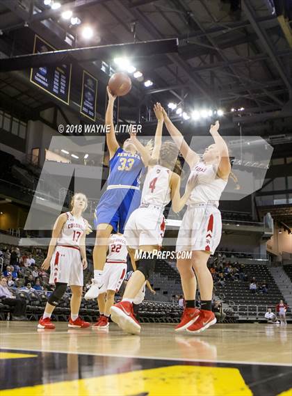 Thumbnail 2 in Newport Central Catholic vs Dixie photogallery.