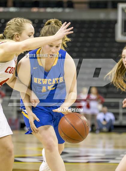 Thumbnail 2 in Newport Central Catholic vs Dixie photogallery.