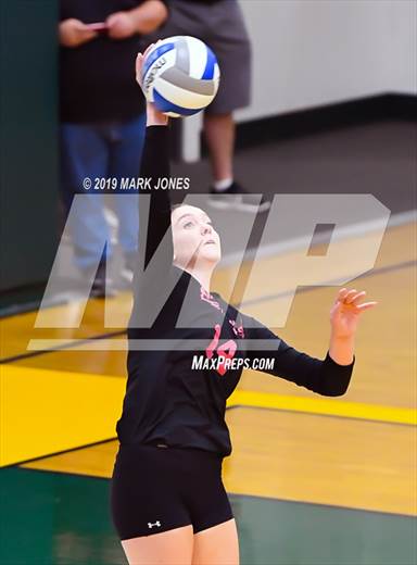 null - Photo 01