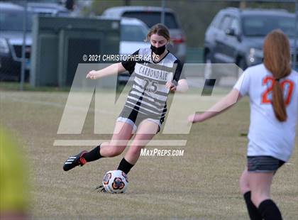 Thumbnail 3 in Mt. Vernon @ Carbondale photogallery.