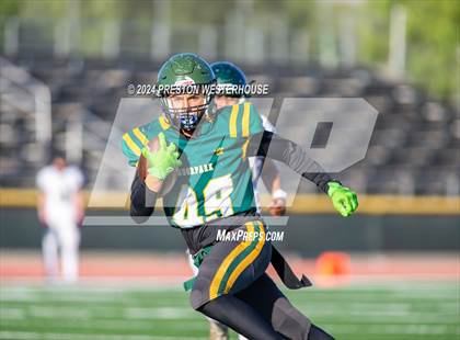 Thumbnail 2 in Royal @ Moorpark photogallery.
