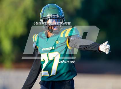 Thumbnail 3 in Royal @ Moorpark photogallery.