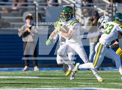 Thumbnail 3 in Massapequa vs Ward Melville (Long Island Div 1 Finals) photogallery.