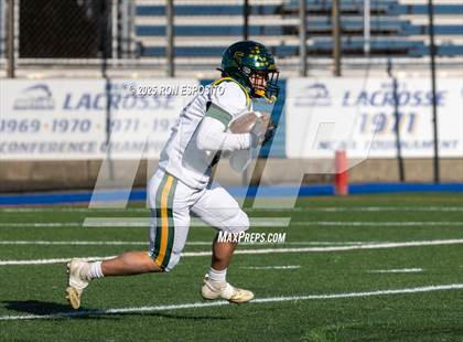 Thumbnail 3 in Massapequa vs Ward Melville (Long Island Div 1 Finals) photogallery.