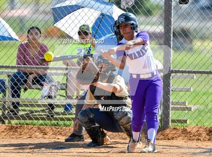 Thumbnail 1 in Warren vs O'Connor photogallery.