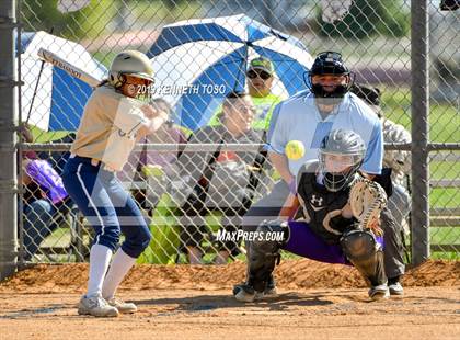 Thumbnail 3 in Warren vs O'Connor photogallery.