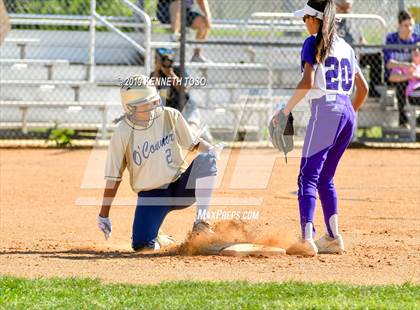 Thumbnail 2 in Warren vs O'Connor photogallery.