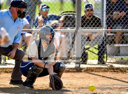 Thumbnail 3 in Warren vs O'Connor photogallery.