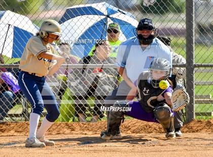 Thumbnail 1 in Warren vs O'Connor photogallery.