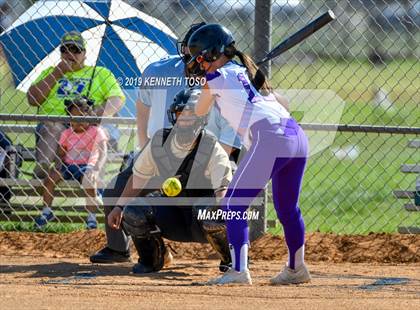 Thumbnail 3 in Warren vs O'Connor photogallery.
