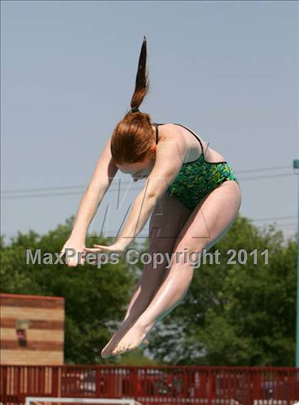 Thumbnail 1 in CIF SJS Girls Varsity Diving Finals photogallery.