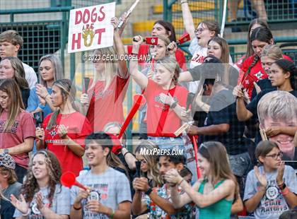 Thumbnail 1 in Harlem vs. Ringgold (GHSA 3A Championship) - Game 2 photogallery.