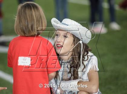 Thumbnail 1 in Sherman @ Lovejoy photogallery.