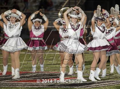 Thumbnail 3 in Sherman @ Lovejoy photogallery.