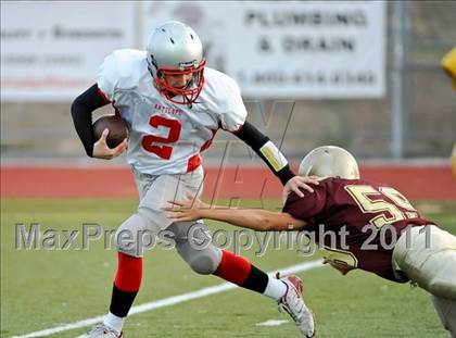 Thumbnail 1 in Antelope @ Whitney photogallery.