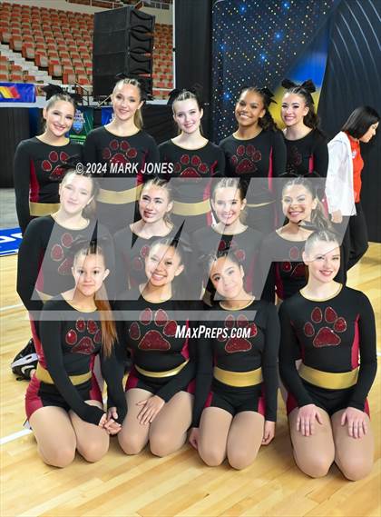 Thumbnail 3 in Dance Game Day Championships (AIA Division I, II, III and IV Awards) photogallery.