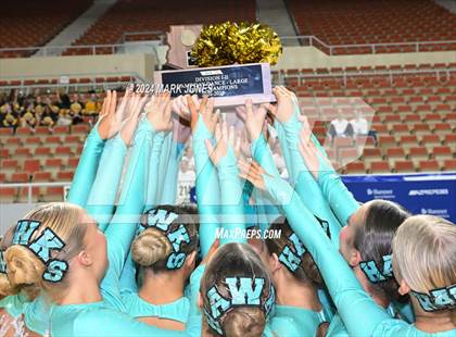 Thumbnail 2 in Dance Game Day Championships (AIA Division I, II, III and IV Awards) photogallery.