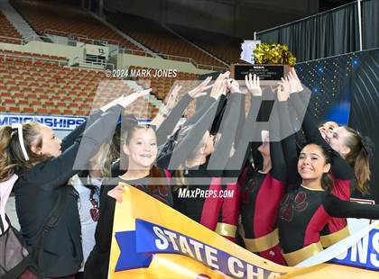 Thumbnail 2 in Dance Game Day Championships (AIA Division I, II, III and IV Awards) photogallery.