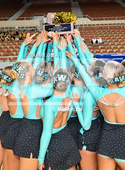 Thumbnail 1 in Dance Game Day Championships (AIA Division I, II, III and IV Awards) photogallery.