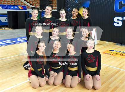 Thumbnail 1 in Dance Game Day Championships (AIA Division I, II, III and IV Awards) photogallery.