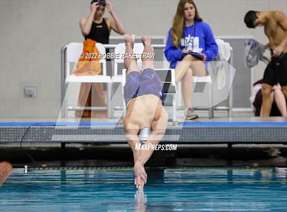 Thumbnail 2 in UIL 5A Boys Swimming & Diving State Prelims photogallery.
