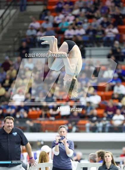 Thumbnail 1 in UIL 5A Boys Swimming & Diving State Prelims photogallery.