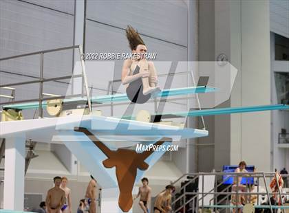 Thumbnail 2 in UIL 5A Boys Swimming & Diving State Prelims photogallery.