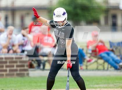 Thumbnail 2 in Tolar vs. Muenster photogallery.