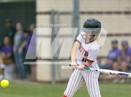 Thumbnail 1 in Tolar vs. Muenster photogallery.