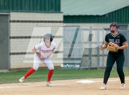 Thumbnail 3 in Tolar vs. Muenster photogallery.