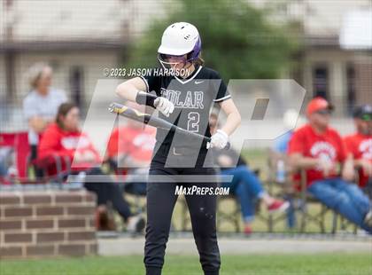 Thumbnail 3 in Tolar vs. Muenster photogallery.