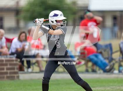 Thumbnail 1 in Tolar vs. Muenster photogallery.