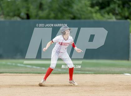 Thumbnail 3 in Tolar vs. Muenster photogallery.