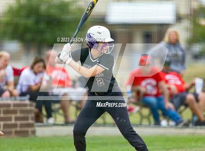 Thumbnail 1 in Tolar vs. Muenster photogallery.