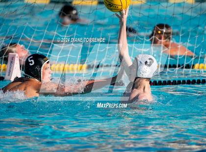 Thumbnail 2 in Canyon @ Foothill photogallery.