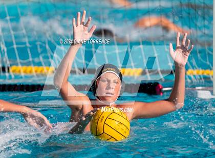 Thumbnail 2 in Canyon @ Foothill photogallery.