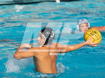 Thumbnail 1 in Canyon @ Foothill photogallery.
