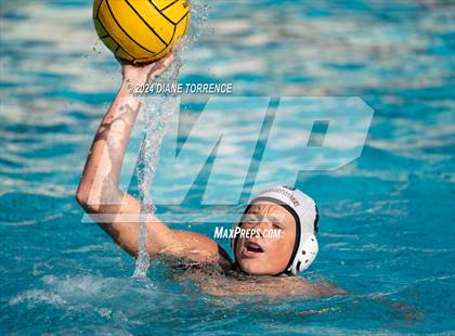 Thumbnail 1 in Canyon @ Foothill photogallery.