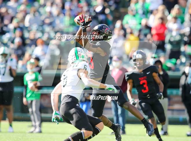 null - Photo 21
